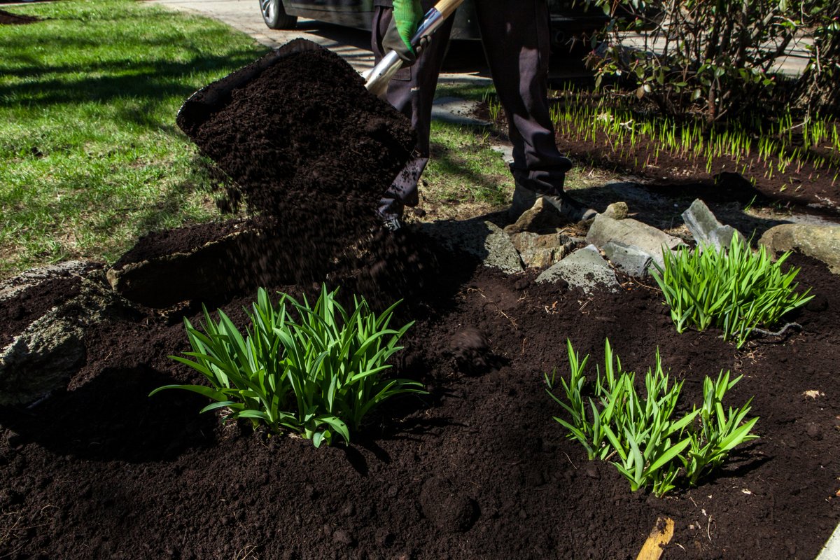 Landscaping and Revegetation - Lawns, trees, and shrubs in Marin County.